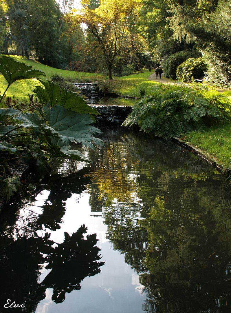 les ombres sur le ruisseau