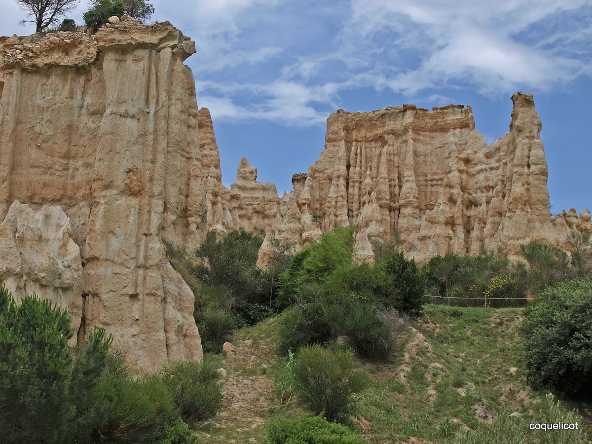 les orgues d'Ille sur Tet 1