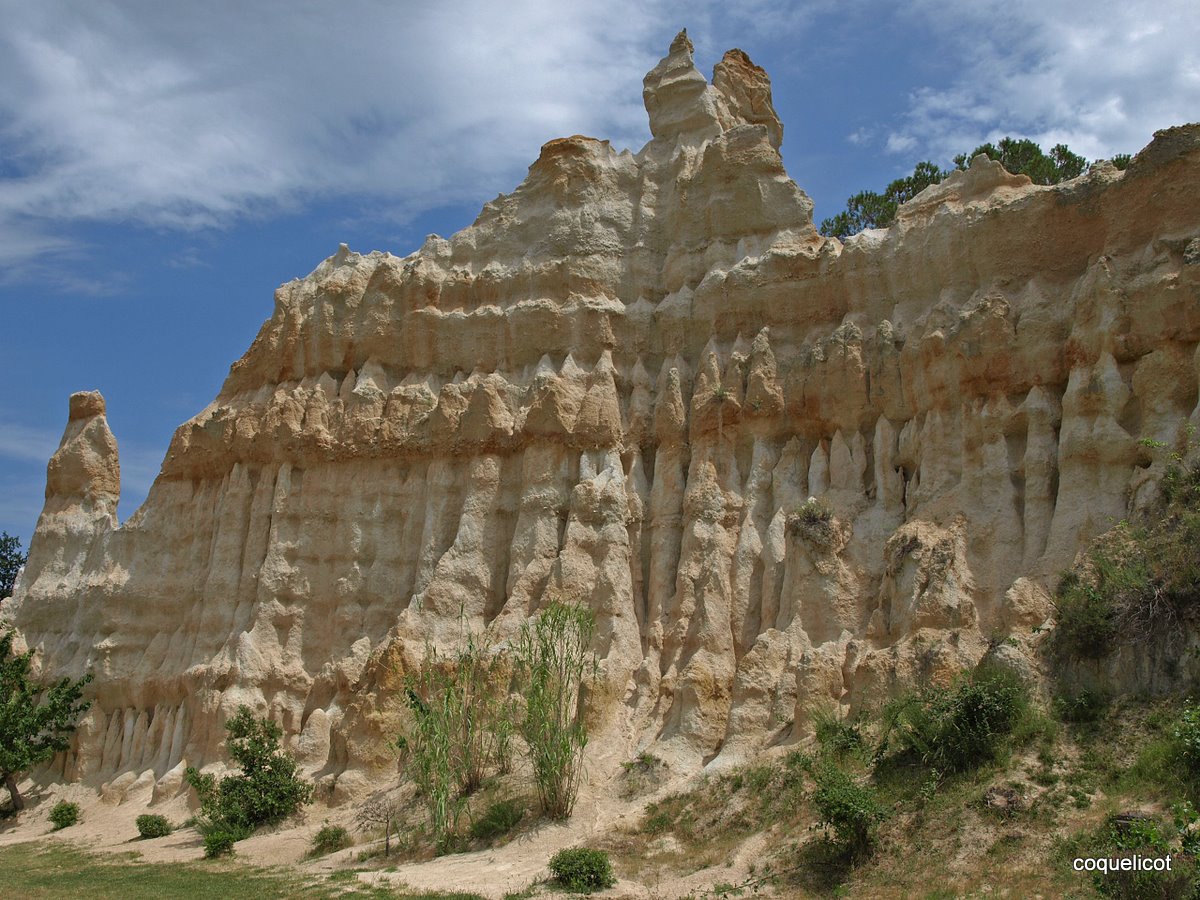 les orgues d'Ille sur Tet 2