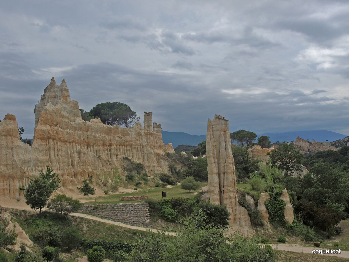 les orgues d'Ille sur Tet 3