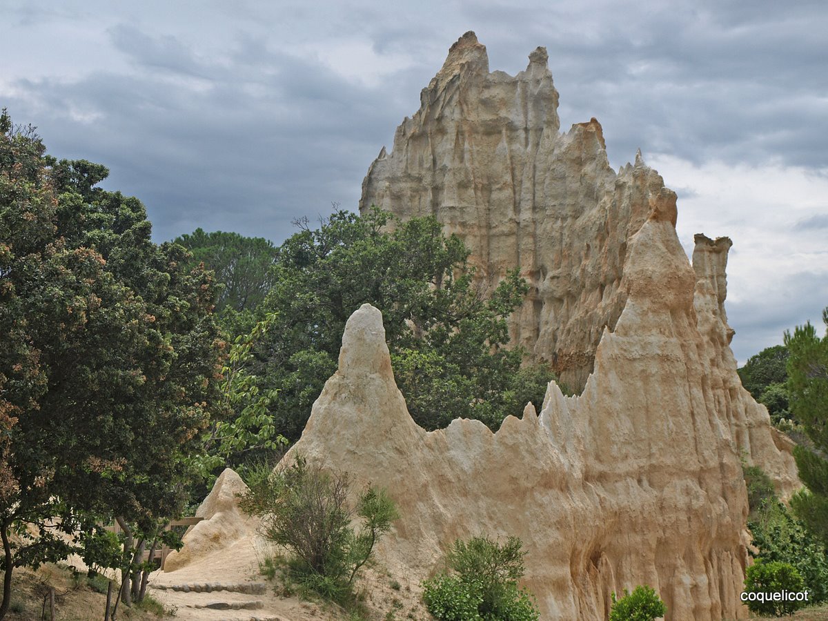 les orgues d'Ille sur Tet 4