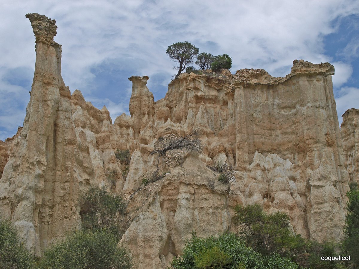 les orgues d'ille sur tet