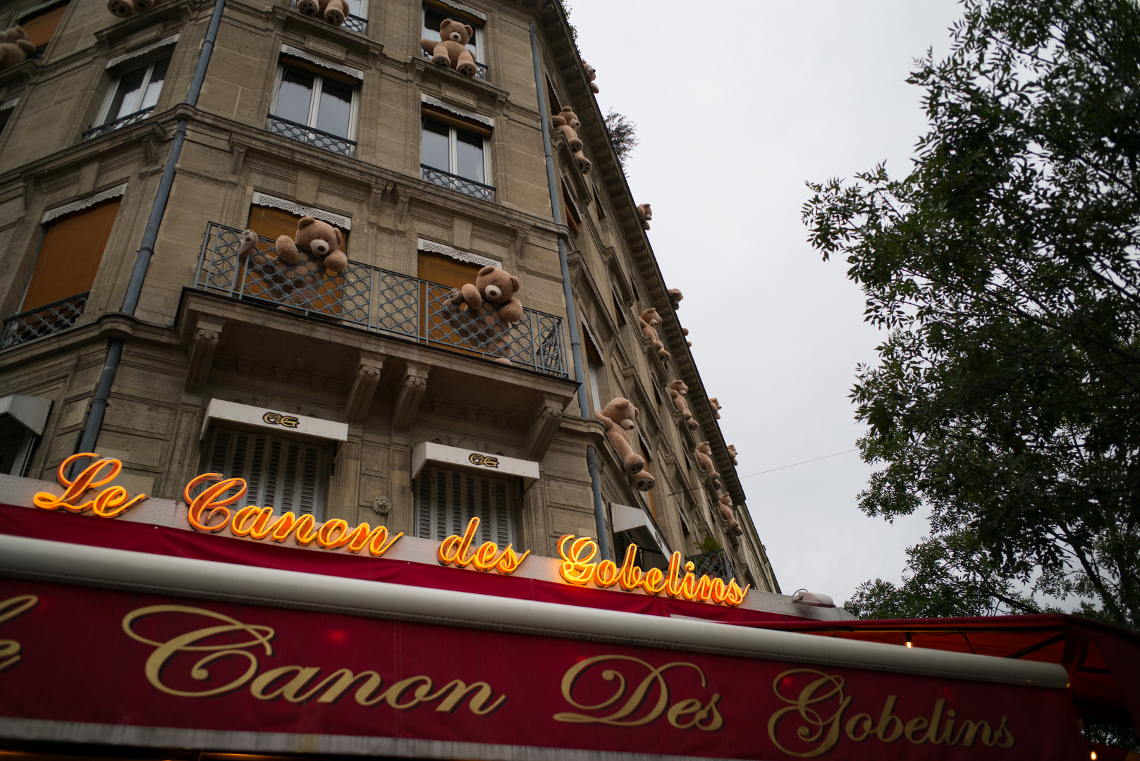 Les Ours sont entrés dans Paris !