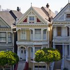 Les Painted Ladies