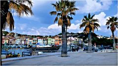 Les palmiers de Cassis