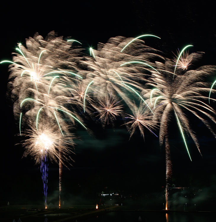 "Les palmiers" "Feux de Chantilly". samedi 18 juin 2011