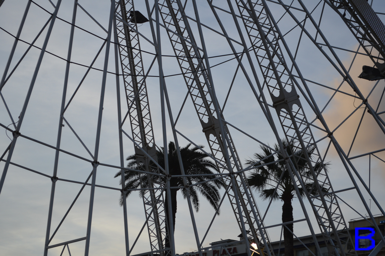 les palmiers font la cour a la roue