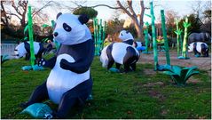 Les pandas