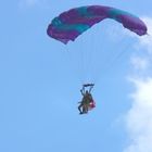 Les Parachutistes sautant sur la Fière à Saint Mère-Eglise le 6 Juin n 0 5. Manche.