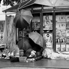 Les parapluies de Paris - Paris 8e