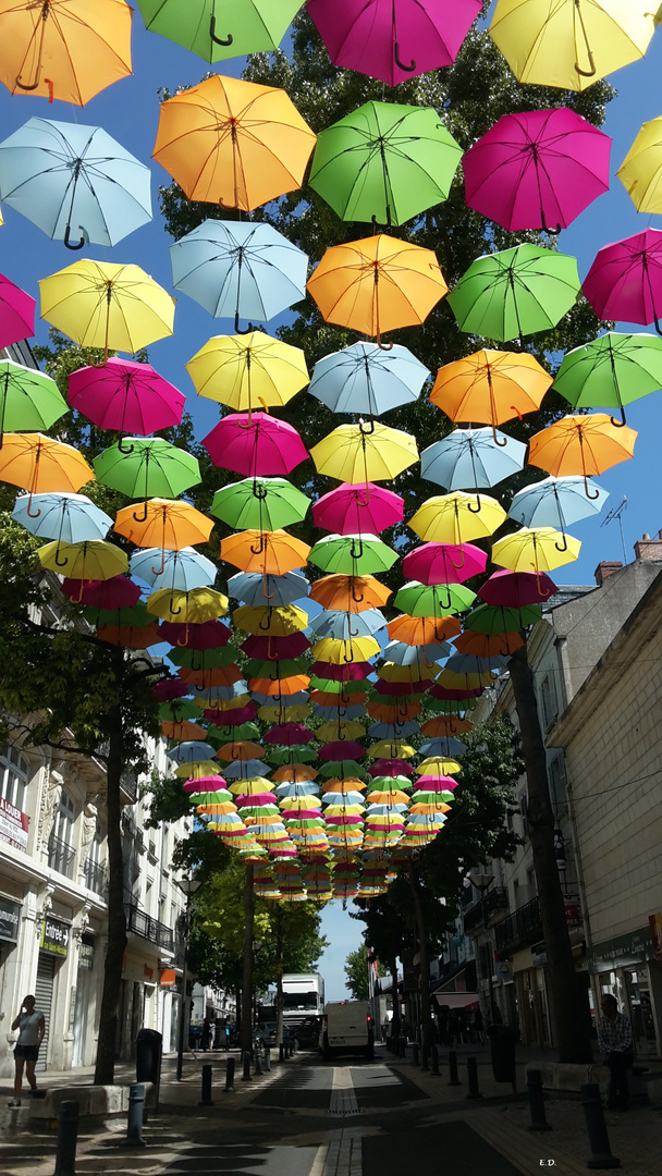 Les parapluies de Saumur