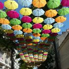 Les parapluies de Saumur