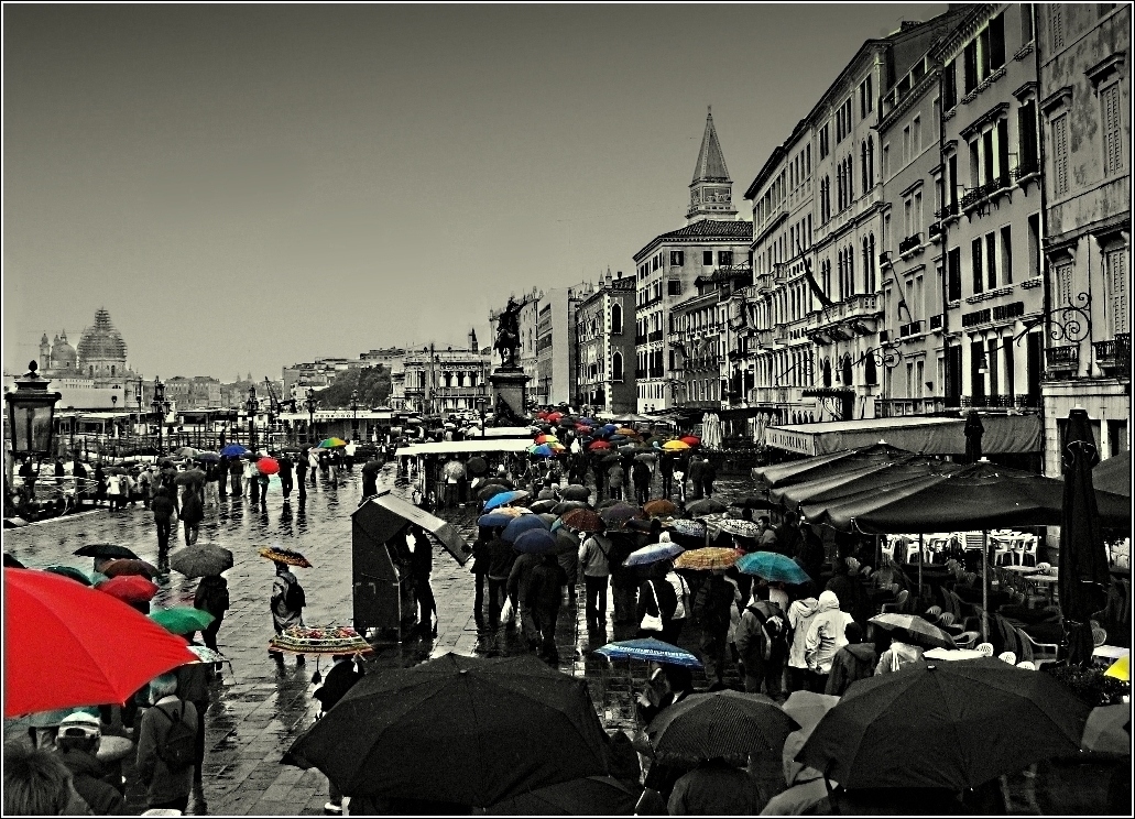 Les parapluies de Venise !!!