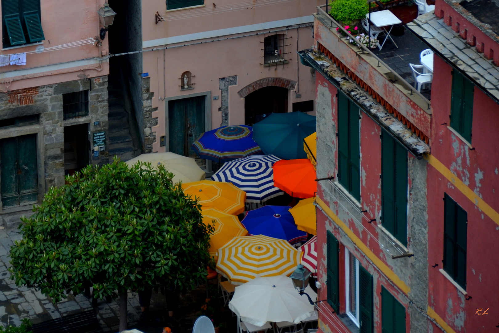 les parasols