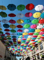 Les parasols abritent du soleil 