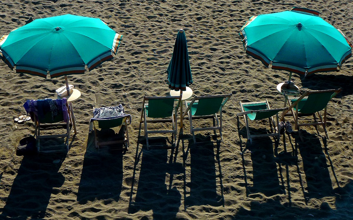 les parasols verts