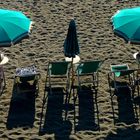 les parasols verts