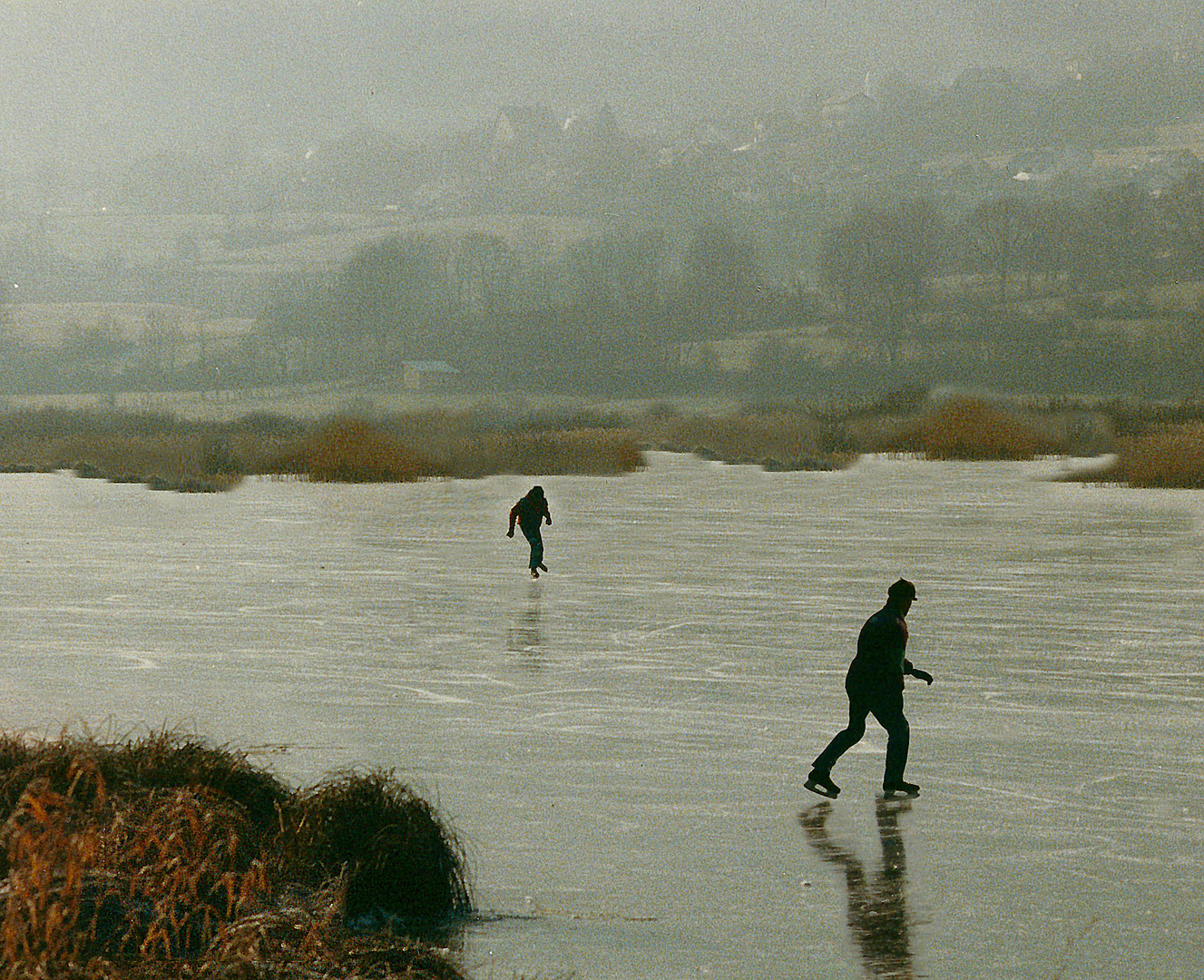 Les patineurs