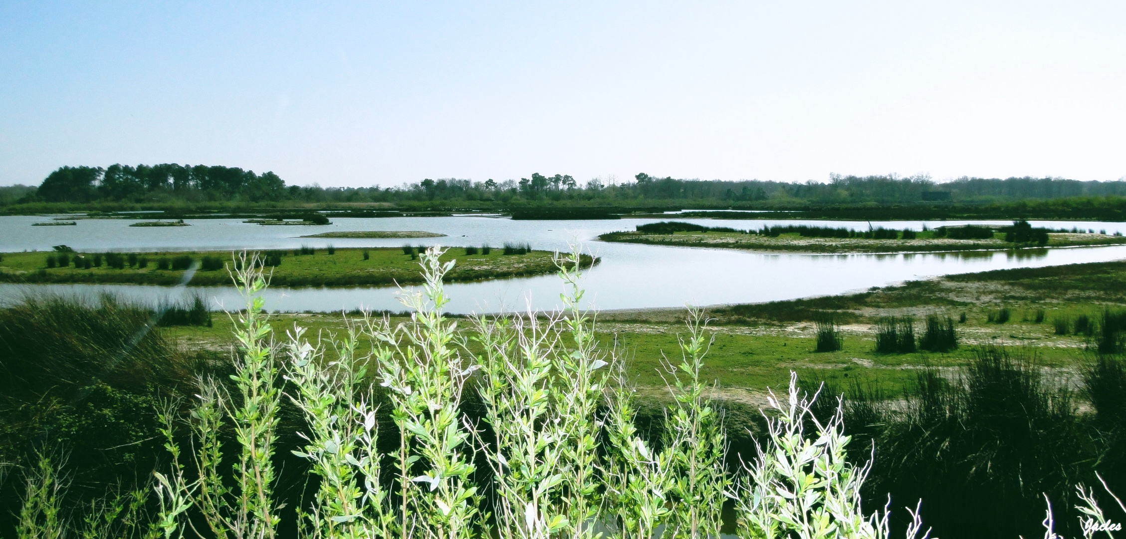 Les paysage du Teich