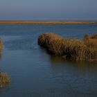 Les pêcheurs