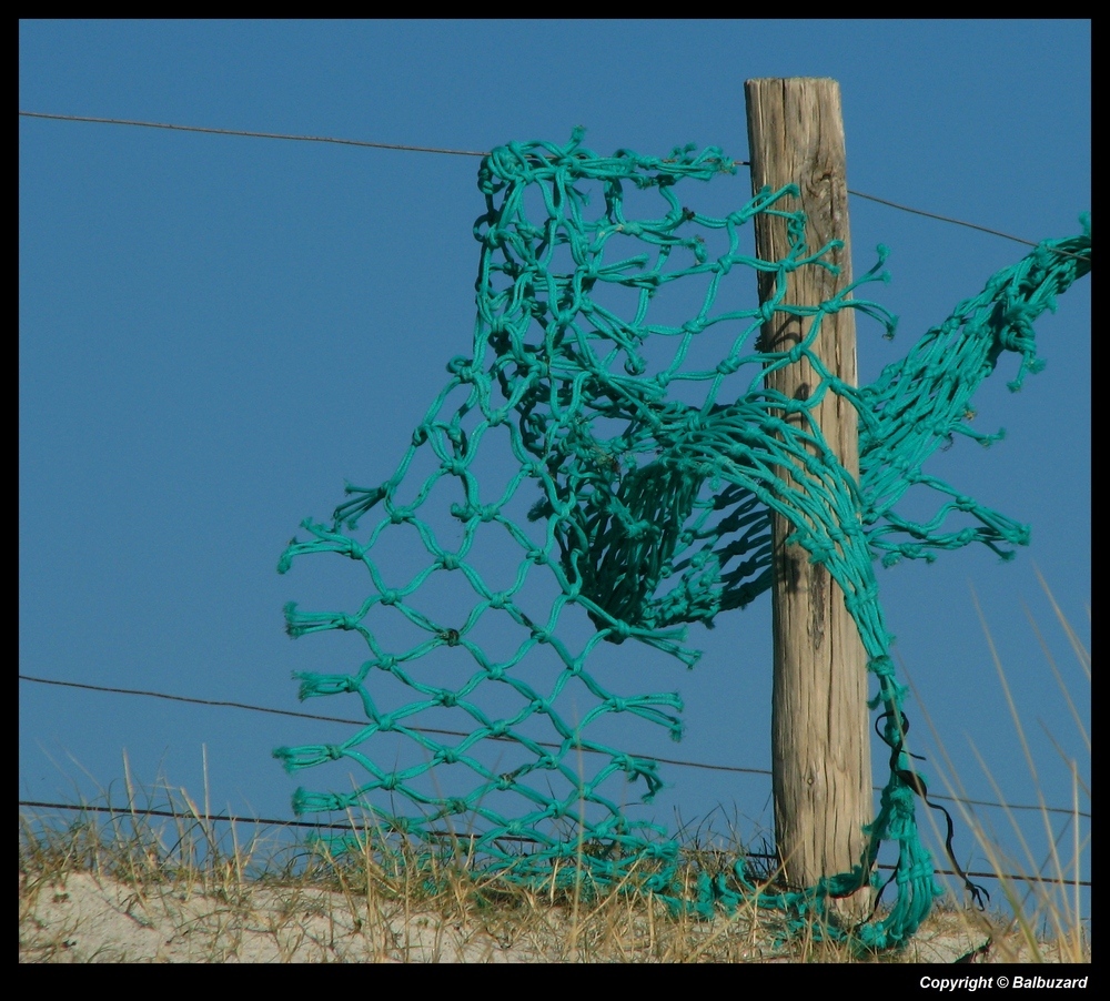 " Les pêcheurs de vent "