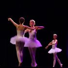 Les petites ballerines deviennent de grandes danseuses...