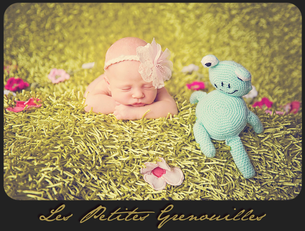 Les petites grenouilles