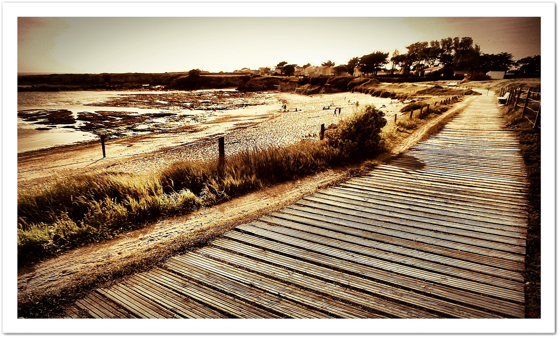 les petites planches