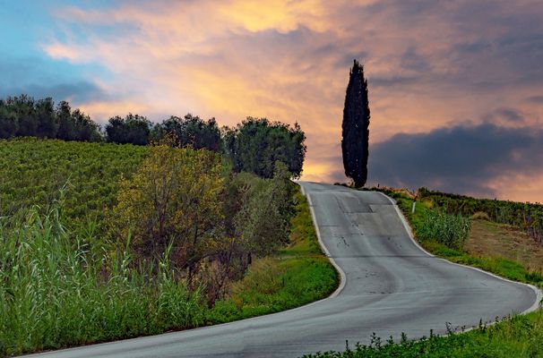 les petites routes de campagne en toscane...