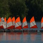 Les petites voiles rouges