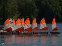 Les petites voiles rouges