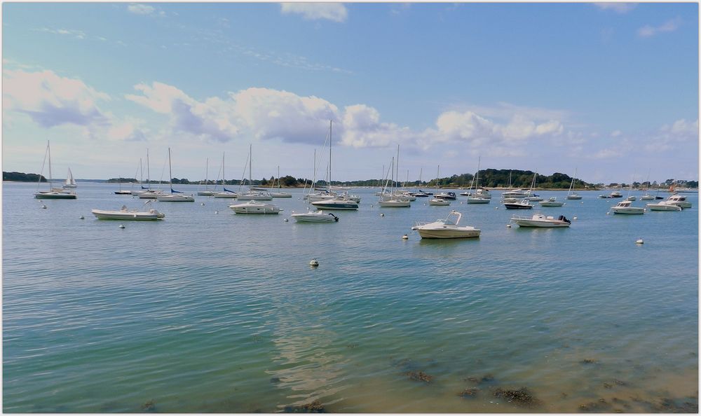 les petits bateaux