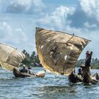 Les petits bateaux