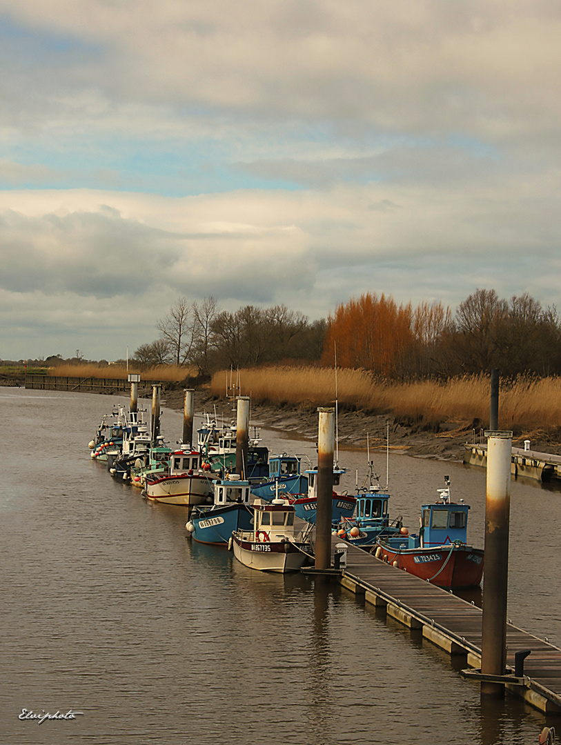 Les petits bateaux 