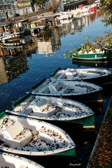 Les petits bateaux 