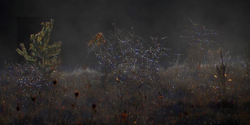 * les petits lampions *