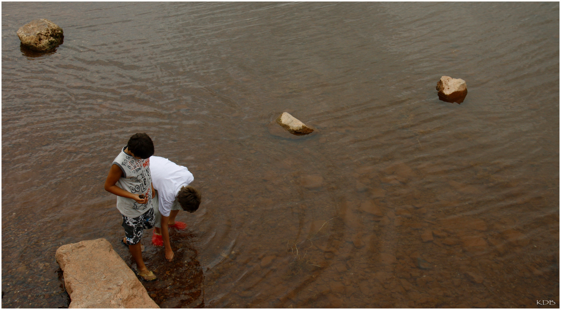 Les petits Poucet d'eau douce