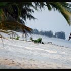 Les pieds dans le sable