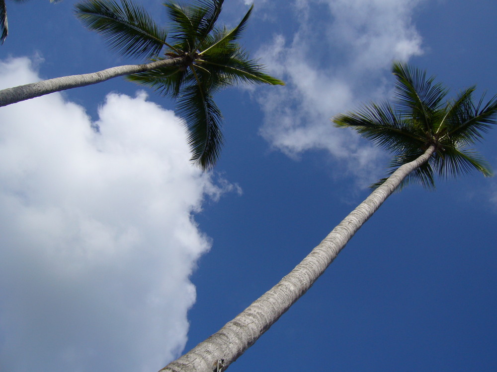 les pieds dans le sable la tête dans le ciel