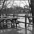 Les pieds dans l'eau .