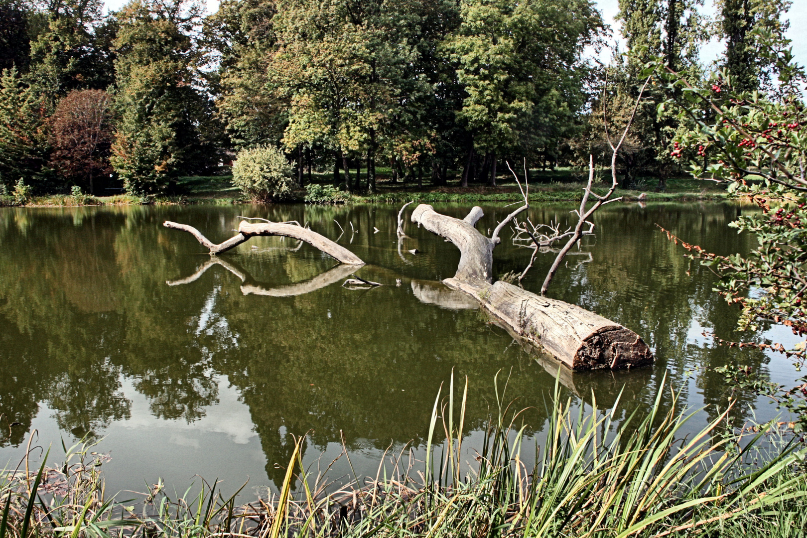 Les pieds dans l'eau !