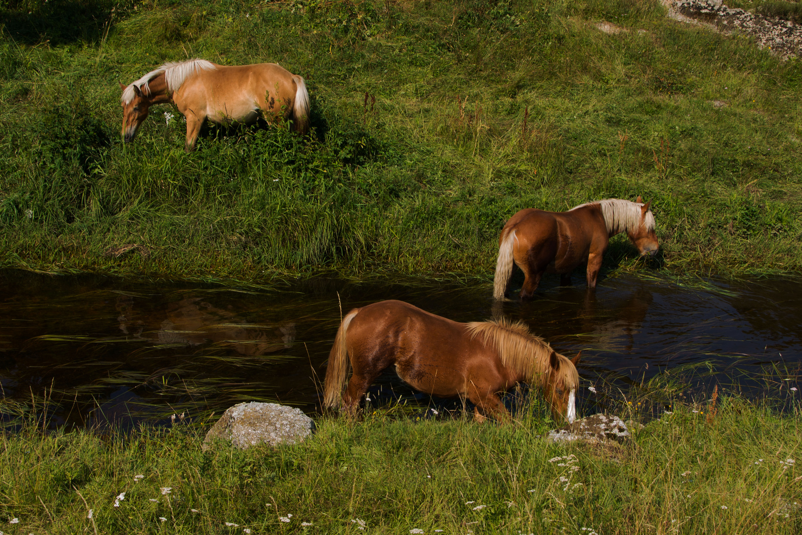 Les pieds dans l'eau 2