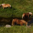 Les pieds dans l'eau 2