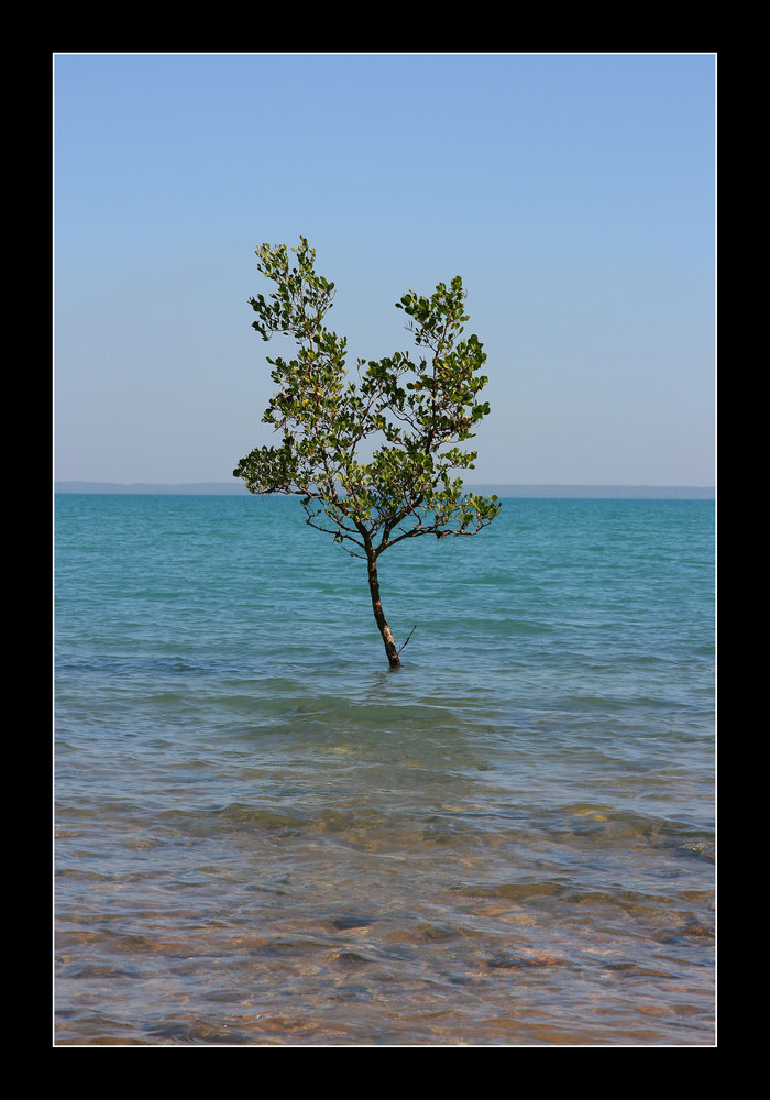 Les pieds dans l'eau