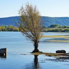 les pieds dans l'eau