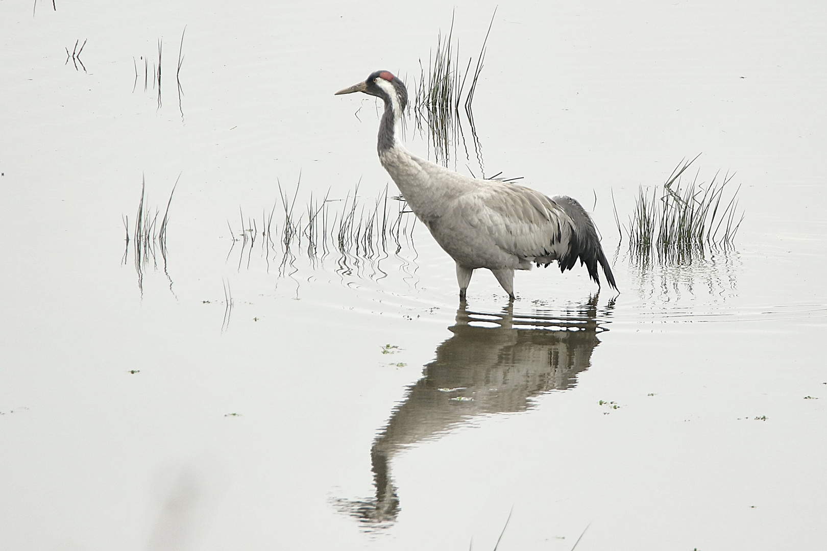 les pieds dans l'eau !