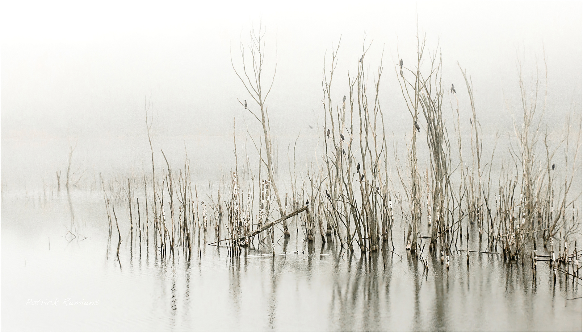 les pieds dans l'eau