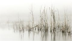 les pieds dans l'eau