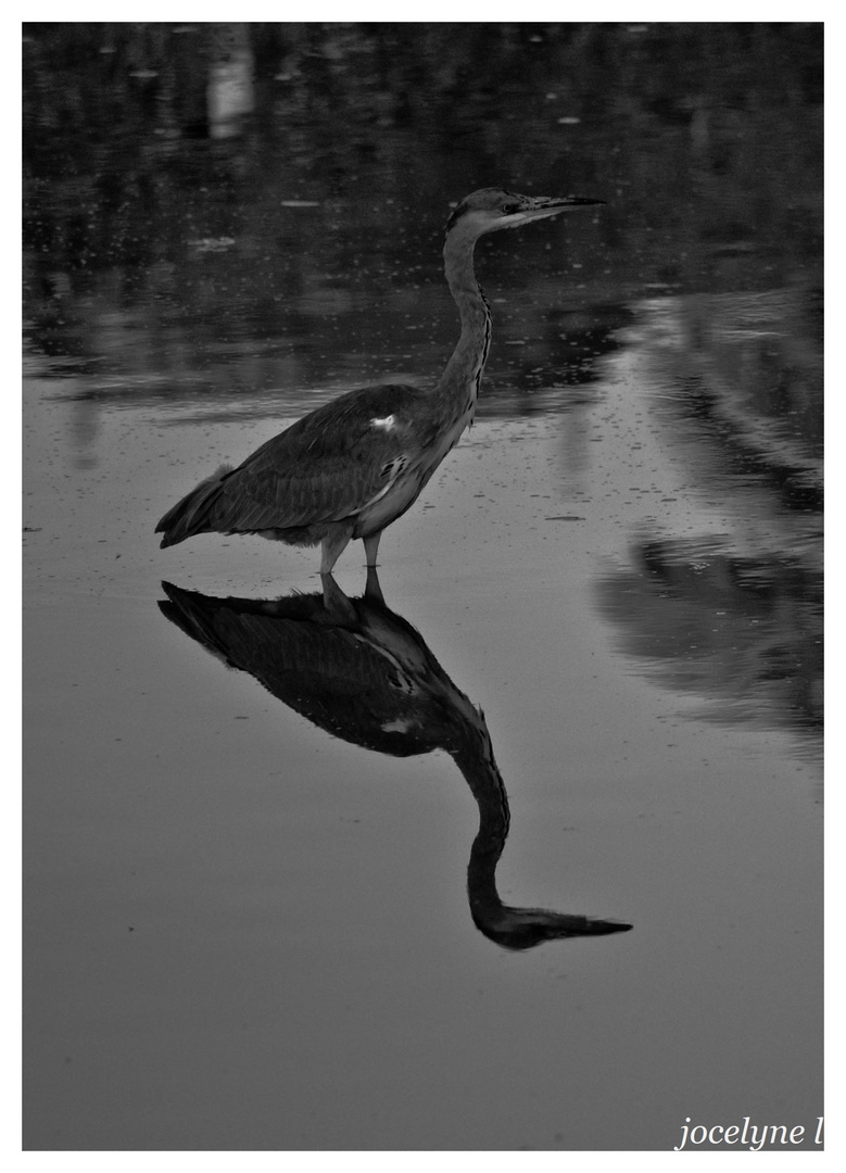 les pieds dans l'eau