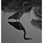 les pieds dans l'eau